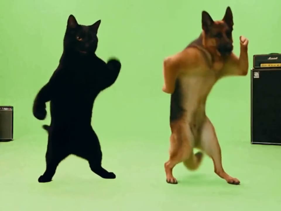 APT AI Prompt — A Dog and a Cat Do the APT. Dance
