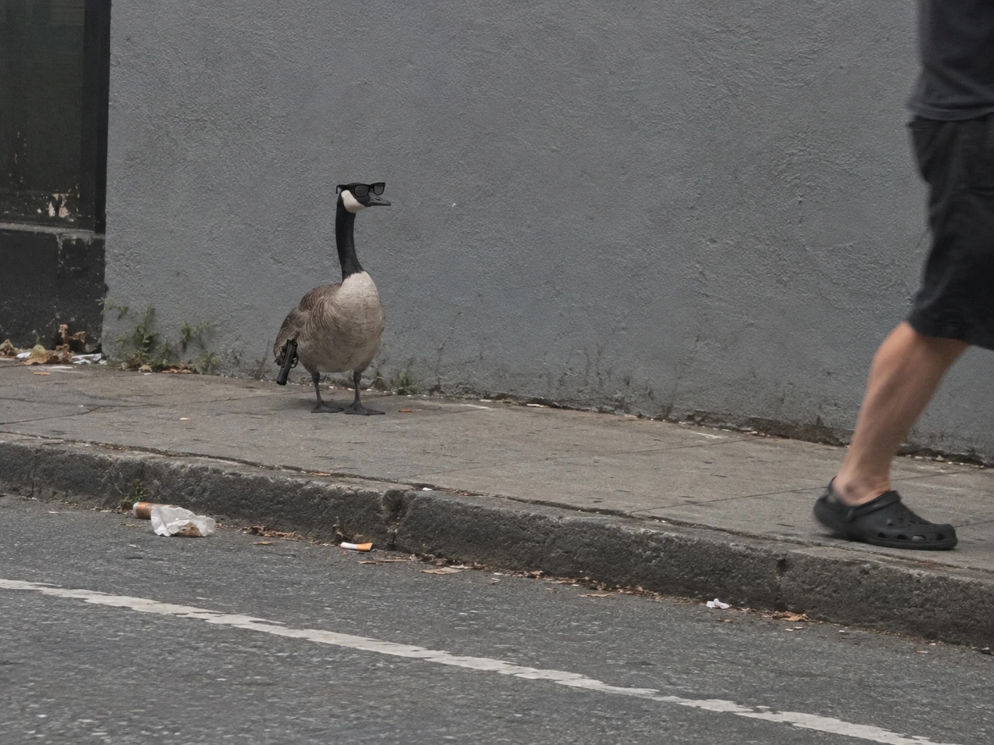 A candid phone photo of a Canada goose standing on a cracked grey sidewalk in front of a plain grey wall. It wears small black sunglasses and holds a small black pistol at its side, pointed at the ground. Litter and a cigarette butt lie in the gutter, a faded white line runs across the road, and the legs of a passerby in dark shorts and black clogs walk out on the right.