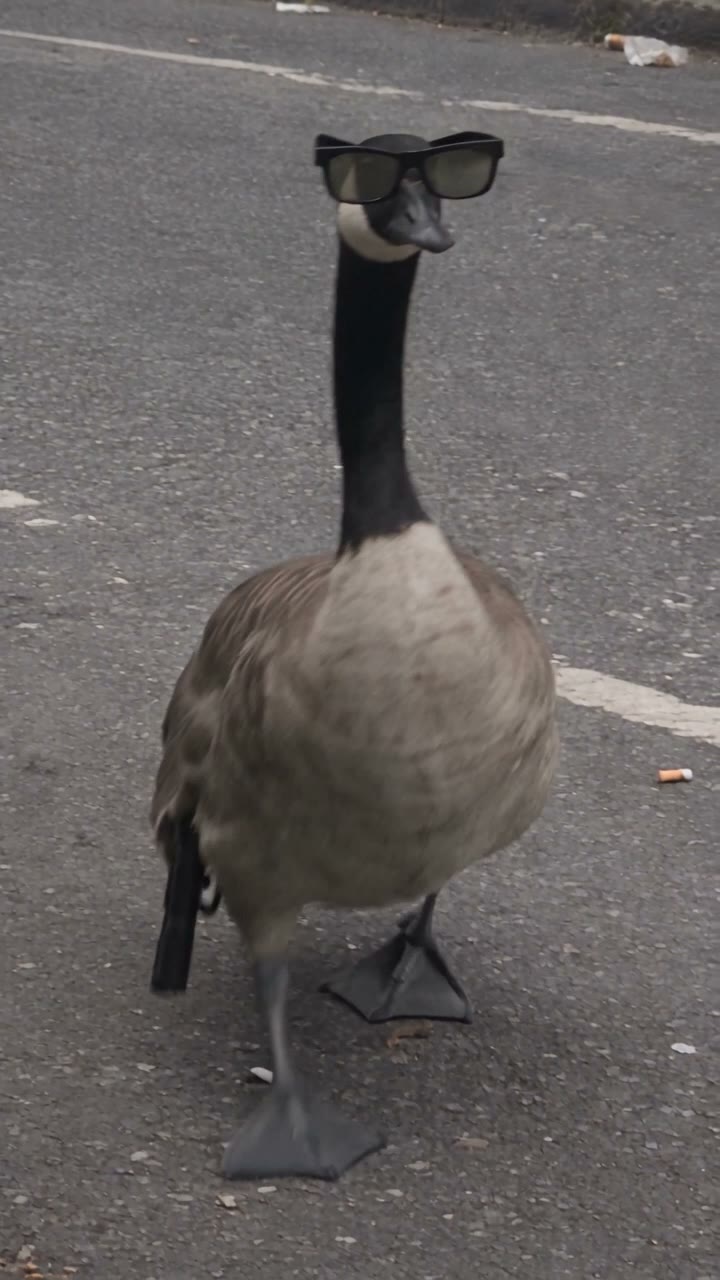 Gangster Goose: The AI Video Prompt